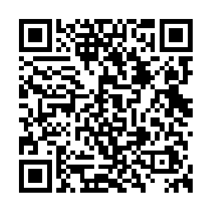 刺猪视线在苏叶手中提着的手提箱上停顿了片刻二维码生成