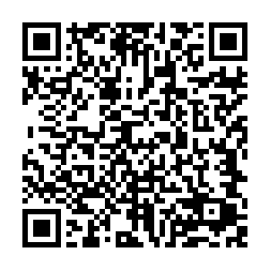 前一段时间我和国纲书记在一起吃饭时候也谈到过干部应该多方位轮岗锻炼二维码生成