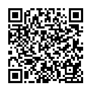 前不久甜甜还买了礼物特地让某人转交给她……二维码生成