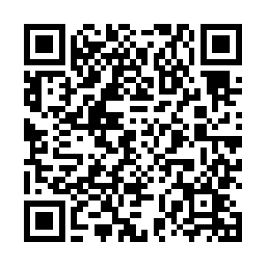 前世被化云宗北长老诸葛青云收为徒弟后一直闭关修炼二维码生成