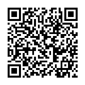 前世那个被无数玩家吐槽几乎是不死之身的赤红牧首二维码生成