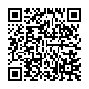 前两颗本源之果吃下去的时候张铁全身的明点才点燃了少部分二维码生成