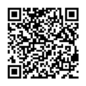 前些天金楼有一位多嘴的客人就将此事跟张春儿说了二维码生成