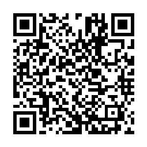 前些日子萨姆不也为了乔乔找到了湛东湛南从小培养吗二维码生成