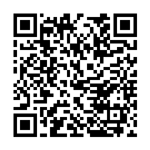 前些时日还风光万分的那南来子不死也是远窜琼崖二维码生成