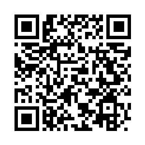 前任王后是原本北境最大部落的公主二维码生成