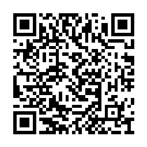 前几天九环星天街封锁大肆搜捕这江一一的时候二维码生成