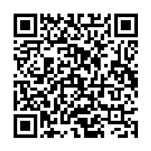 前几天他还亲自带领我们突破了地底大军的封锁线二维码生成