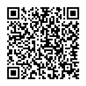 前台的美女颤颤巍巍的将钞票收了起来随便的扔给几个青年一张房卡二维码生成