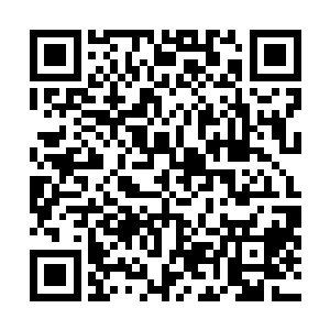 前头就迎面走来一位穿着清凉并且裸露白花花双腿的女子二维码生成