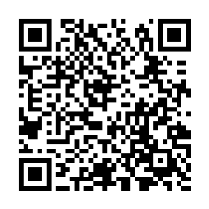 前提是不能叫我做有违良心道德和背叛祖国的事情二维码生成