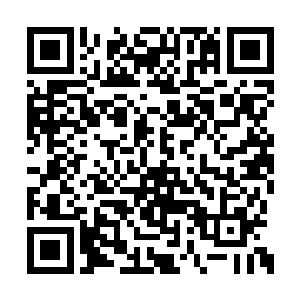 前方一只尸凶趴在五行水兽背上出现在江帆视线二维码生成