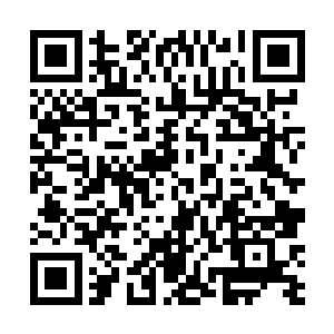 前方一只被水打湿的悬狸撒开四只爪子快若闪电地狂奔二维码生成