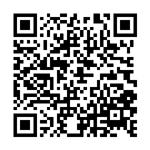 前方大殿旁边的走廊内突兀传来一道冷若冰川的声音二维码生成