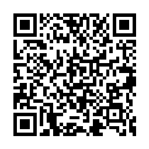 前来刺杀雷天的妖族都还没有弄明白发生了什么二维码生成