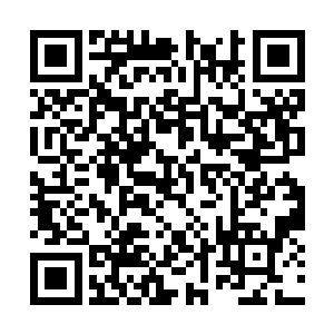 前来北域抓拿龙晓琪的慕容平正是坐在这趟班机上二维码生成