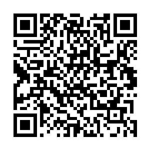 前短后长的设计将膝盖以下纤细的小腿完整地展示了出来二维码生成