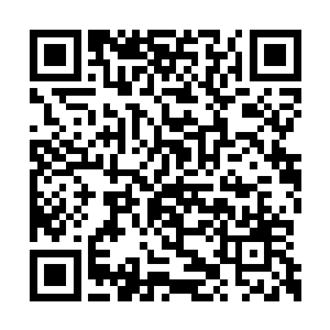 前阵子本官不是已经派了人马过去支援他们了吗二维码生成