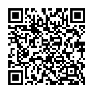 前面所有鱼儿的错误和牺牲都是没意义的没有第一条鱼儿的死二维码生成