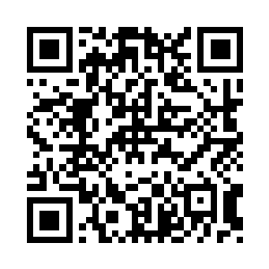 前面的黑幕中渐起密密麻麻的火把来二维码生成