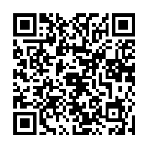 前面被干尸搂在怀中的江逸被恐怖的气劲震得不断吐血二维码生成