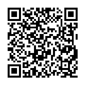 前面被萧韵儿打到的一大片树竟缓缓的站了起来二维码生成