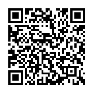 剑剑都以白银级极限的力量和部分震荡之力催动二维码生成