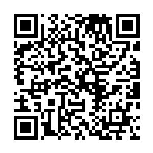 剑尘不知道黑云家族的老祖什么时候会般援兵来对付自己二维码生成