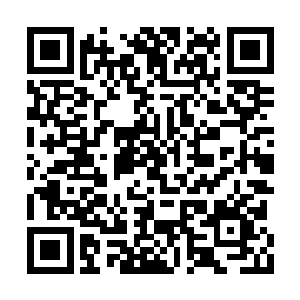剑尘仰着头看着眼前这座高达数百米的残破古塔二维码生成