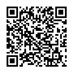 剑尘对王逸风和小胖叮属了一些事情就再次离开佣兵之城二维码生成