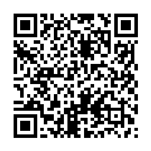 剑尘将缠绕在自己手腕处的噬仙妖花轻轻的解下来二维码生成