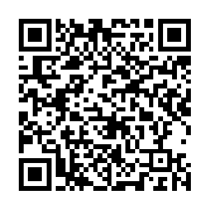 剑尘就感觉两道庞大的气息从远处飞速的向着天琴家主接近二维码生成
