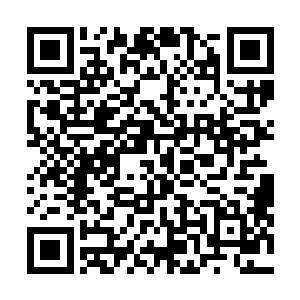 剑尘已经带着景沐沐和景风二人站在了堂曜天界的大地上二维码生成