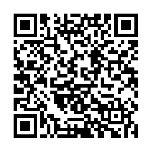 剑尘很快就与这群拥有大圣者实力的人激战在了一起二维码生成