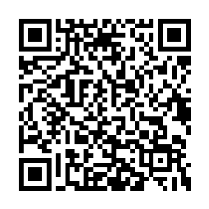 剑尘抱着小老虎犹如一道鬼魅似地在大街上穿梭二维码生成