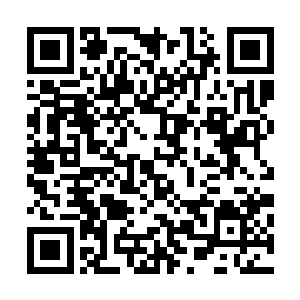 剑尘提着失去了双腿的荒古家族老祖缓缓的來到黄天霸身边二维码生成