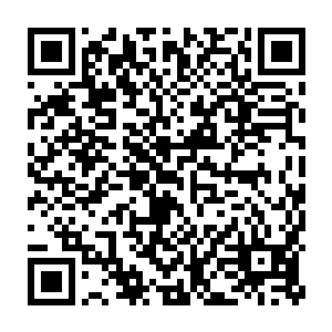 剑尘足足费了一炷香的时间才把金丝银线蛇的身躯完全放入空间戒指中二维码生成