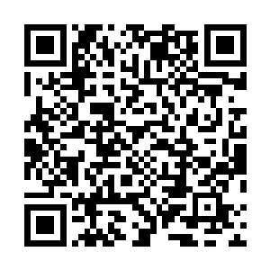 剑尘身穿一袭白色的华丽长袍很是随意的坐在家主宝座上二维码生成