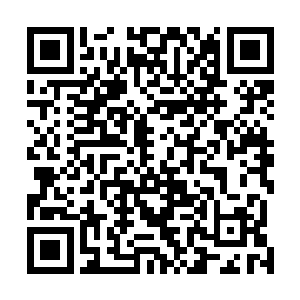 剑尘连人带剑所化的闪电直接是从羊开的身躯中一穿而过二维码生成