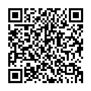 剑尘那显得有几分瘦小的身材灵活的在人群中不断的穿梭着二维码生成