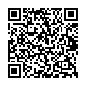 剑术大师意味着安娜的剑术在势均力敌的对抗中二维码生成