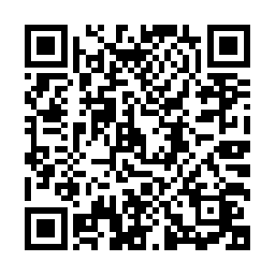 剑阁以掌控八千步卒的顾党嫡系将军阮大城作为名义上的统帅二维码生成