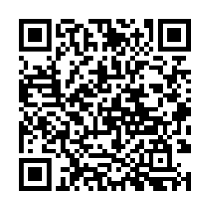 剧烈的痛楚让他情不自禁的发出一声声凄凉的惨叫声二维码生成