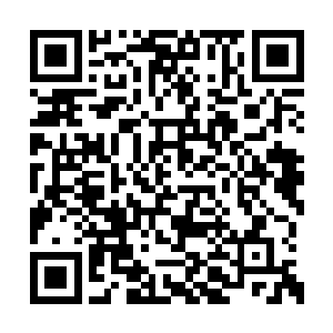 剧组成员都十分清楚这部作品之于史蒂文的意义二维码生成