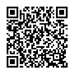 剧组的司机很快就开着车子转出了机场的高架桥二维码生成
