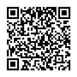 剧组的工作人员忙碌的将打好的包裹运送到包机上面二维码生成