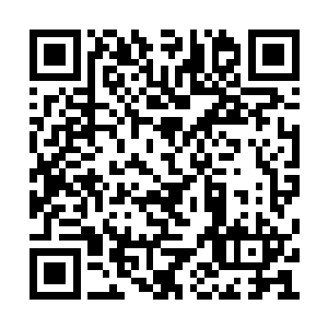 剩下七头恐龙怪物体内的异形胚胎相继破胸而出二维码生成