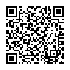 剩下二十几个屠龙者像跳骚一样此起彼伏的跳跃着二维码生成