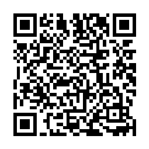 剩下几个没给合同的都是银狼佣兵团或者猎豹佣兵团的人二维码生成