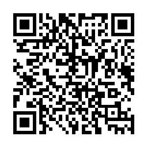 剩下来的就是提防狂神秘境中的一些凶猛异兽或是一些特殊二维码生成